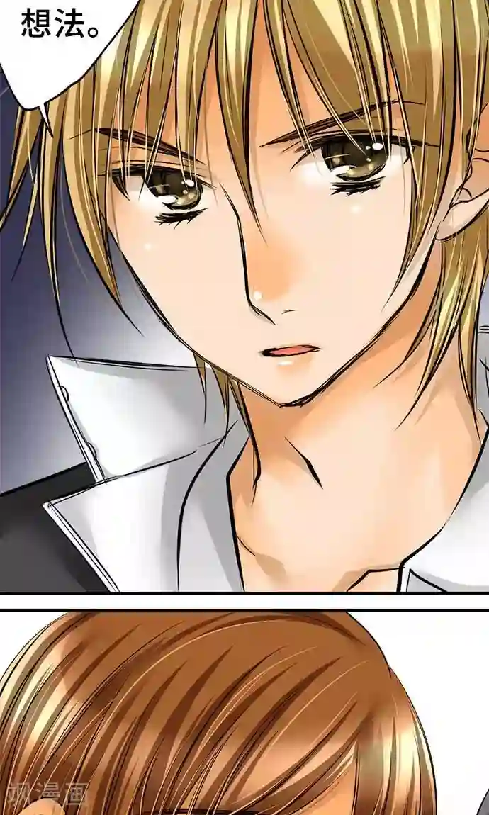 网红的代价第26话 作战