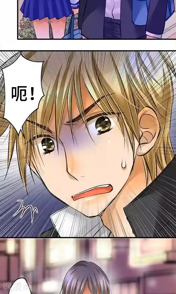 网红的代价第31话 未来