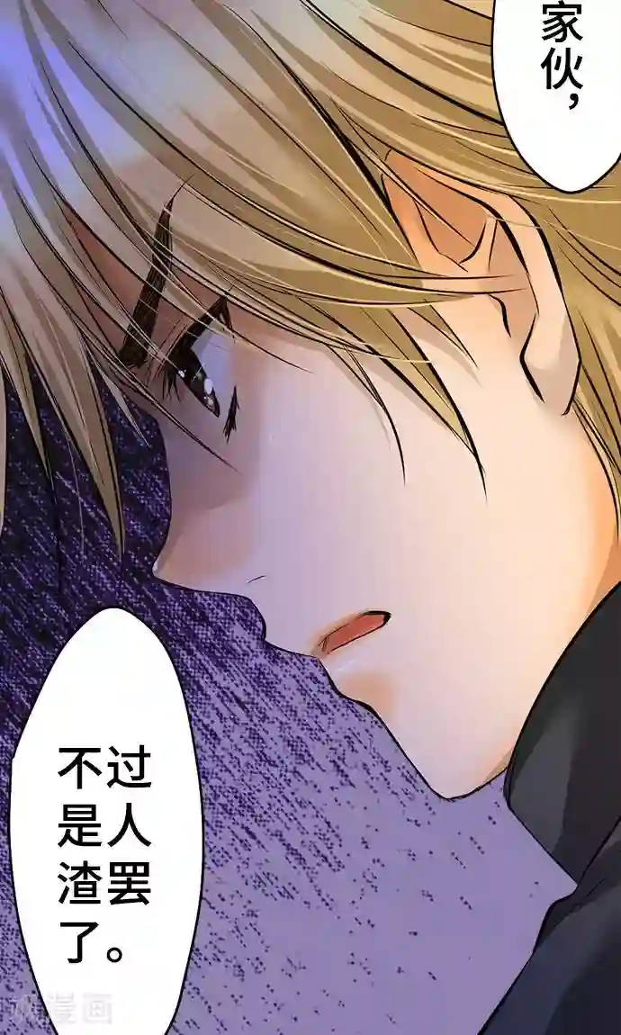 网红的代价第31话 未来