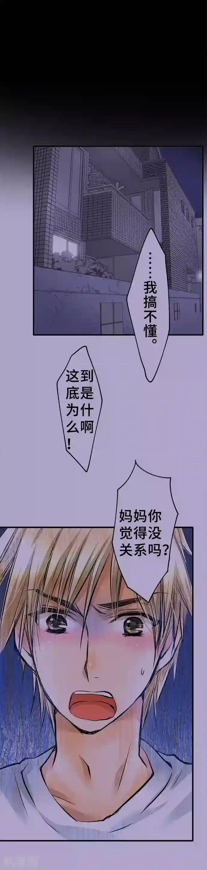 网红的代价第36话 反省