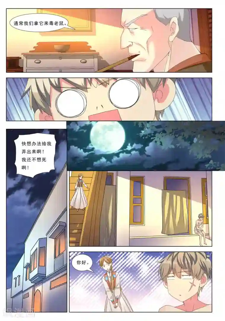 九洲御贡图第29话 地下之王