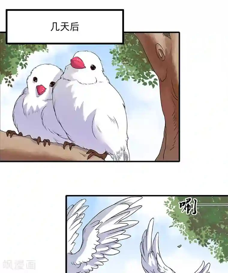 完美替身:神秘重生第12话 疑窦丛生