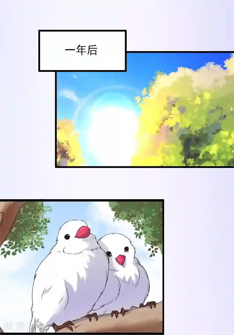 完美替身:神秘重生最终话 尘埃落定