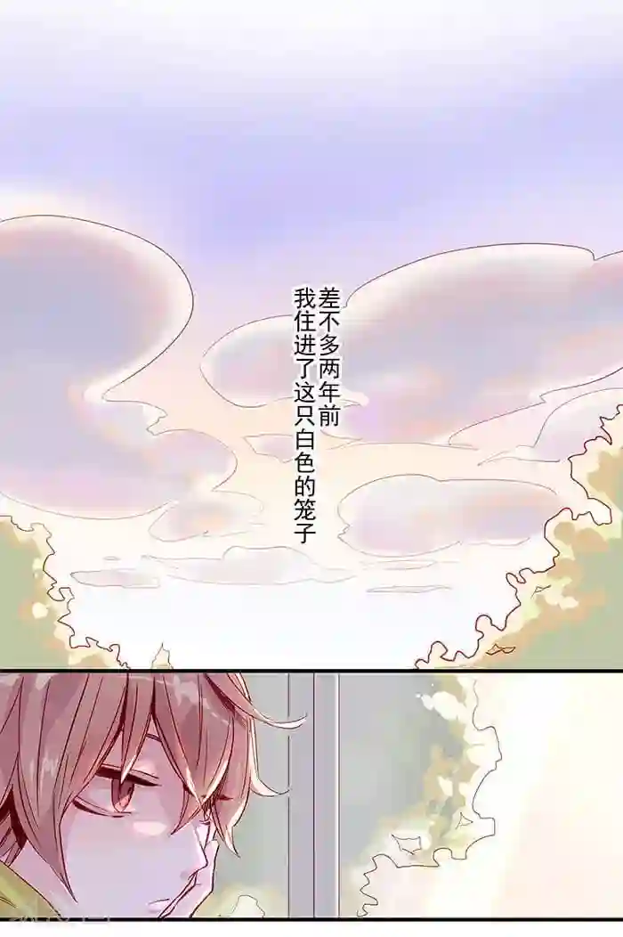 少年A的礼物第1话