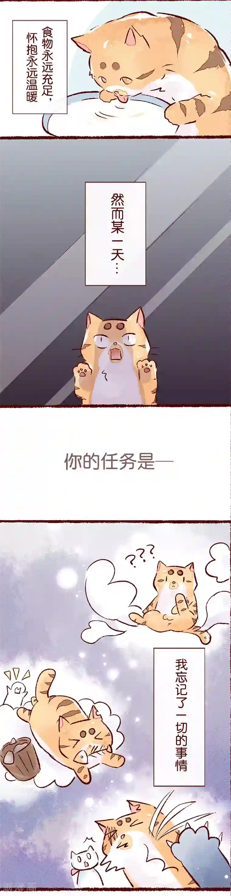 吾名社会黄儿童节特别篇 记忆碎片