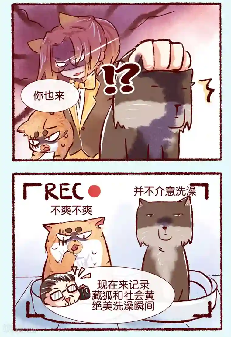 吾名社会黄第77话 处刑现场