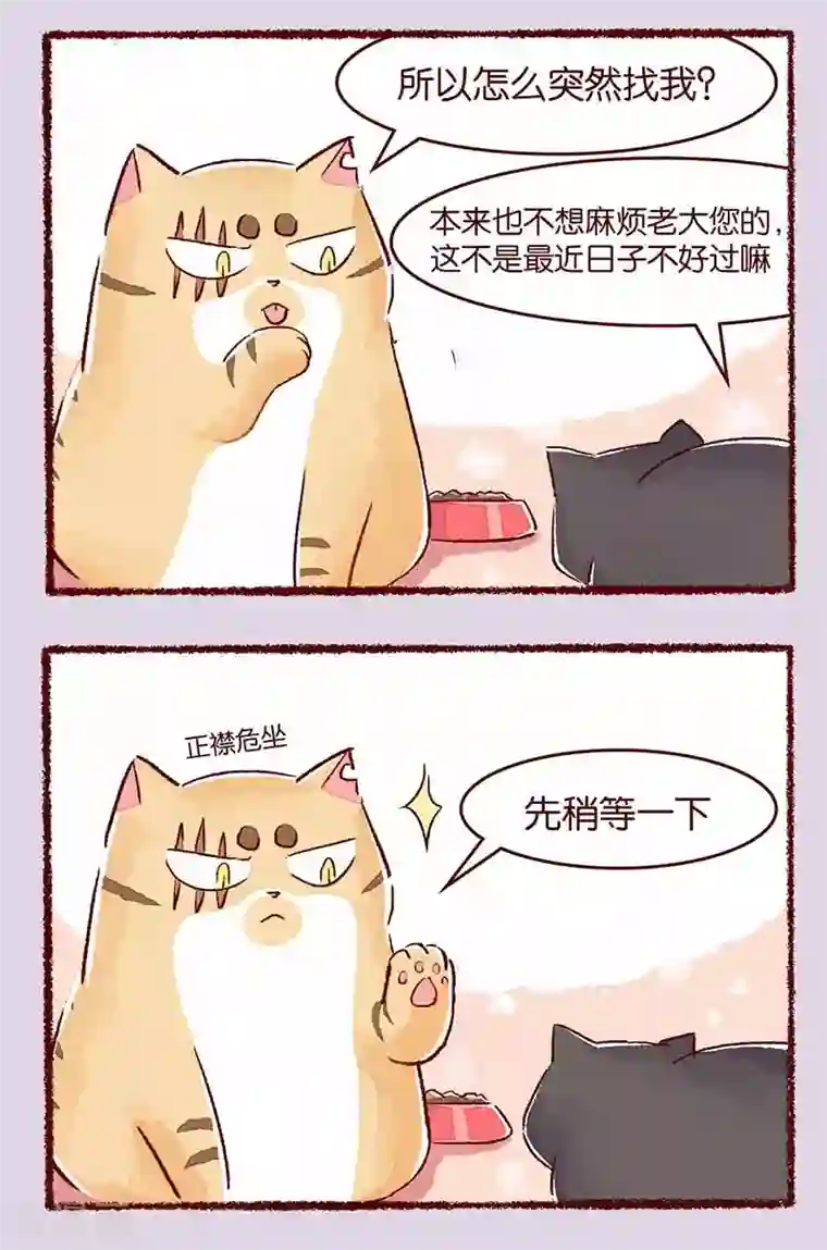 吾名社会黄第114话 阿黑