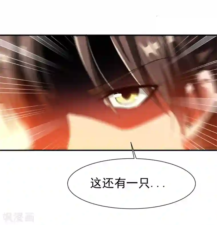 战鼎第8话 至宝现身