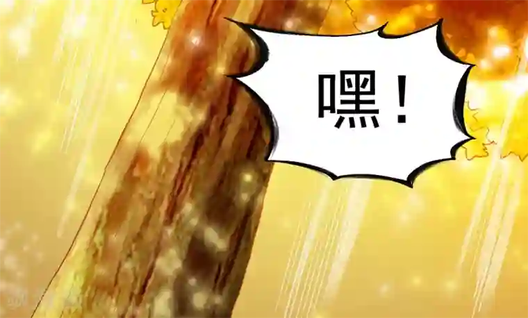 战鼎第61话 秘宝