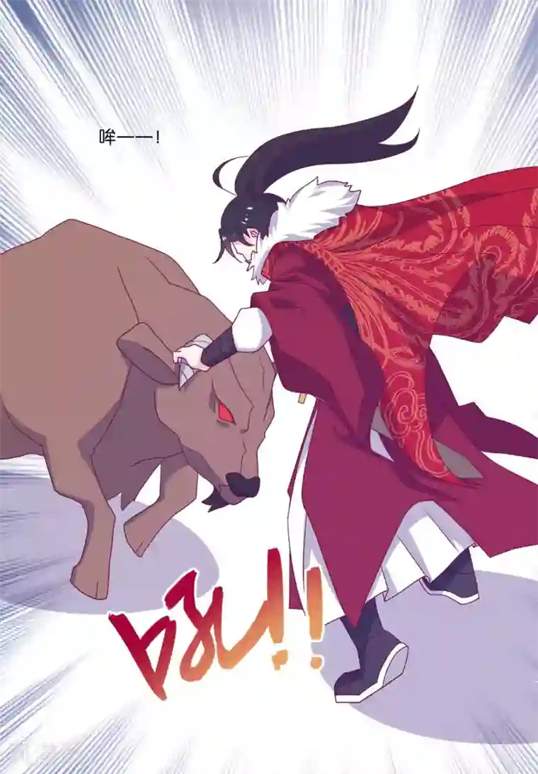 纣王和小仙女的快递第5话 穿这色儿衣服斗牛，I服了you