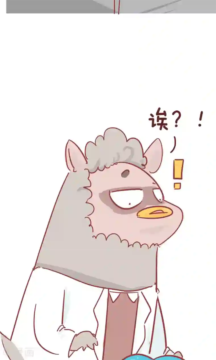 隔壁老王家第62话 痔疮