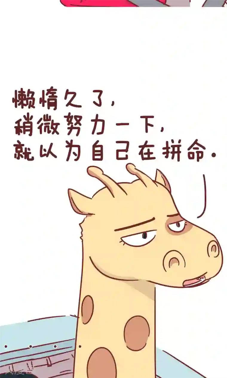 隔壁老王家第91话 司机的毒鸡汤