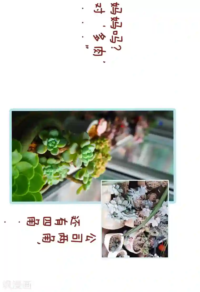 隔壁老王家第110话 大肉