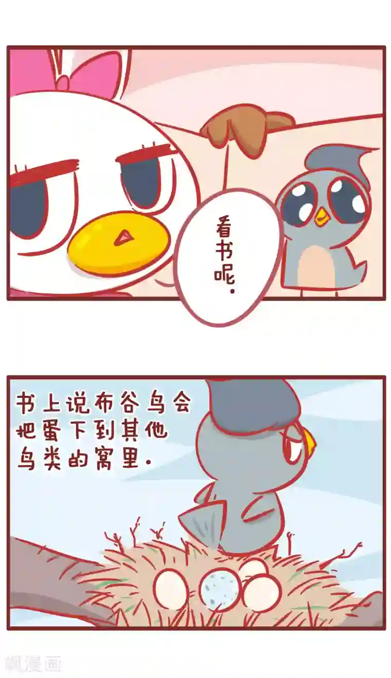 隔壁老王家第167话 布谷鸟