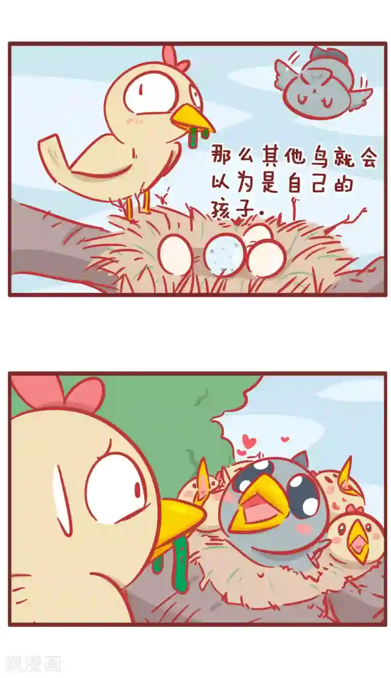 隔壁老王家第167话 布谷鸟