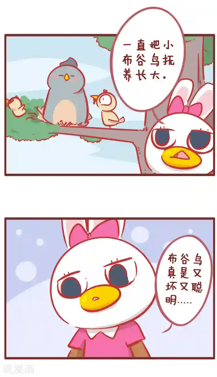 隔壁老王家第167话 布谷鸟