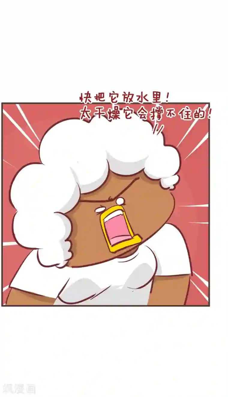 隔壁老王家第195话 我的新朋友