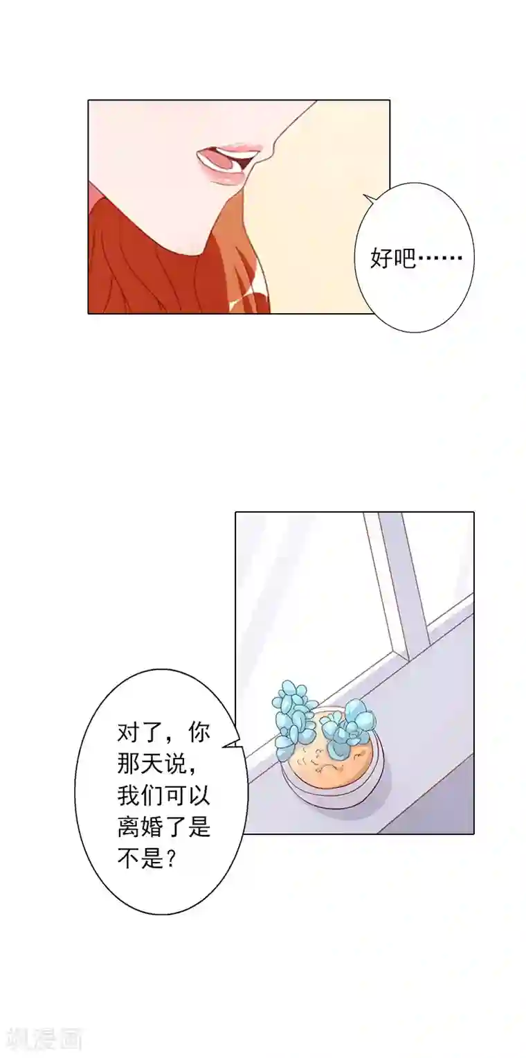婚途有坑：前妻难驯服第23话 难得的温馨