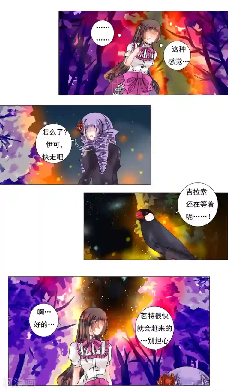 星降之夜第5话11 迷魅森林