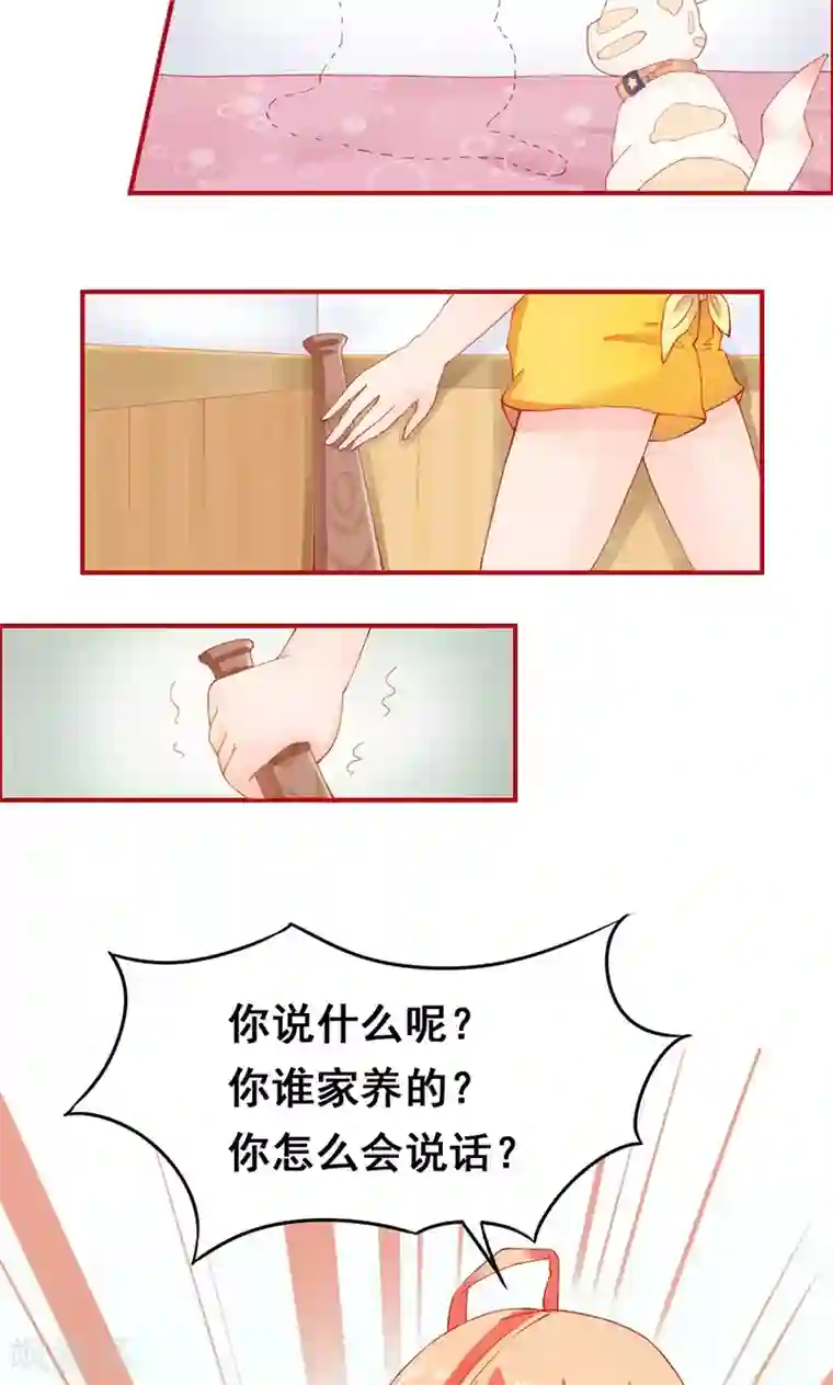 狗粮好吃第1话