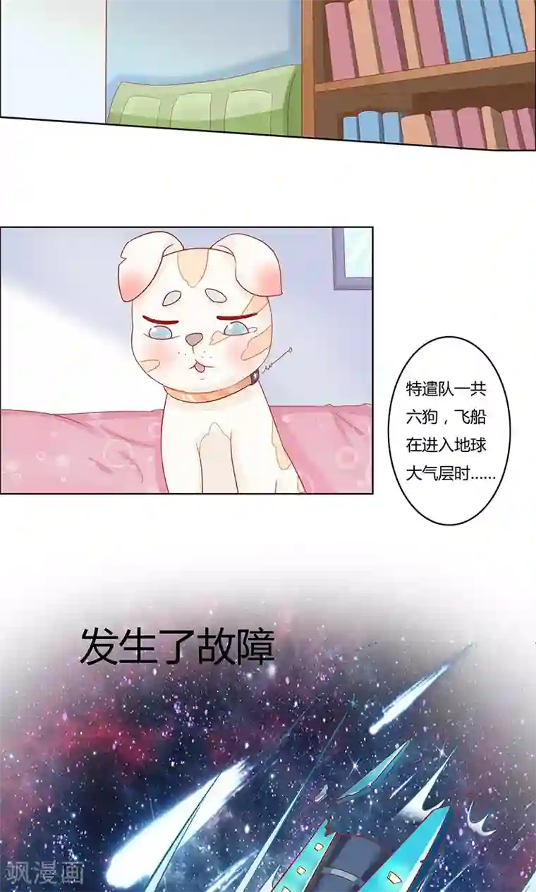 狗粮好吃第1话