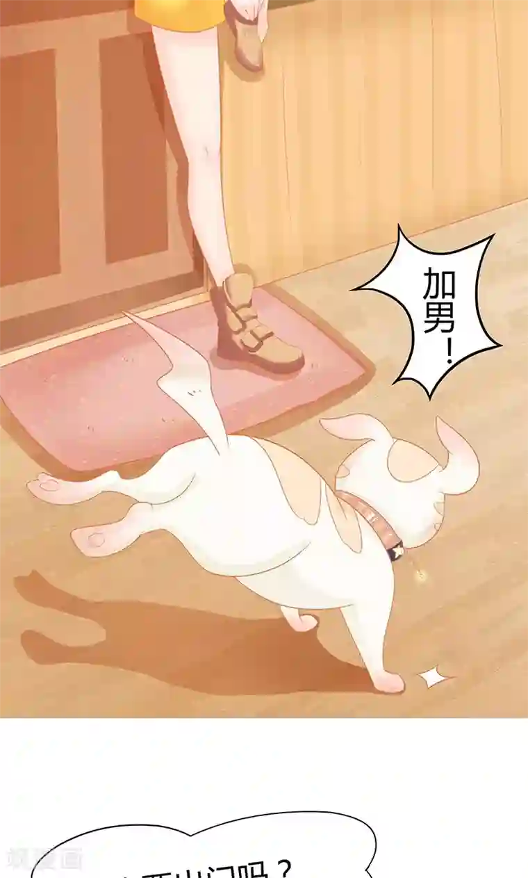 狗粮好吃第3话