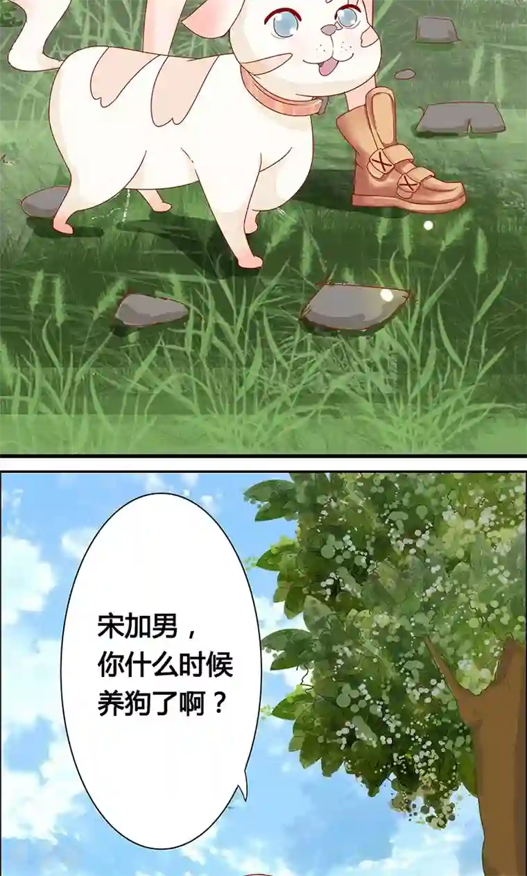 狗粮好吃第4话