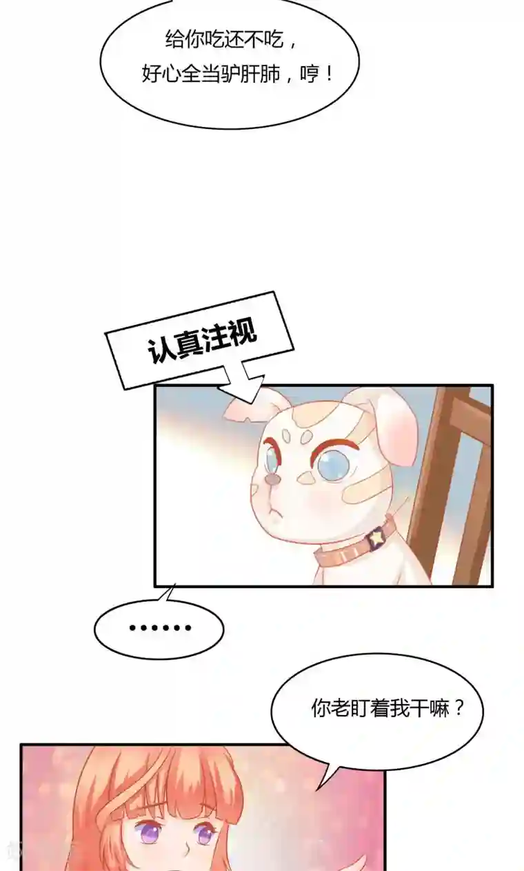 狗粮好吃第5话