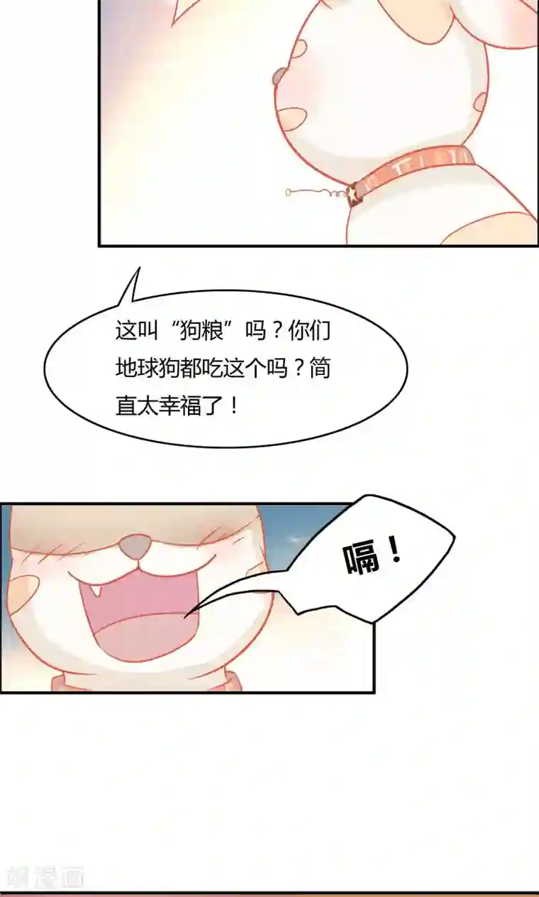 狗粮好吃第6话