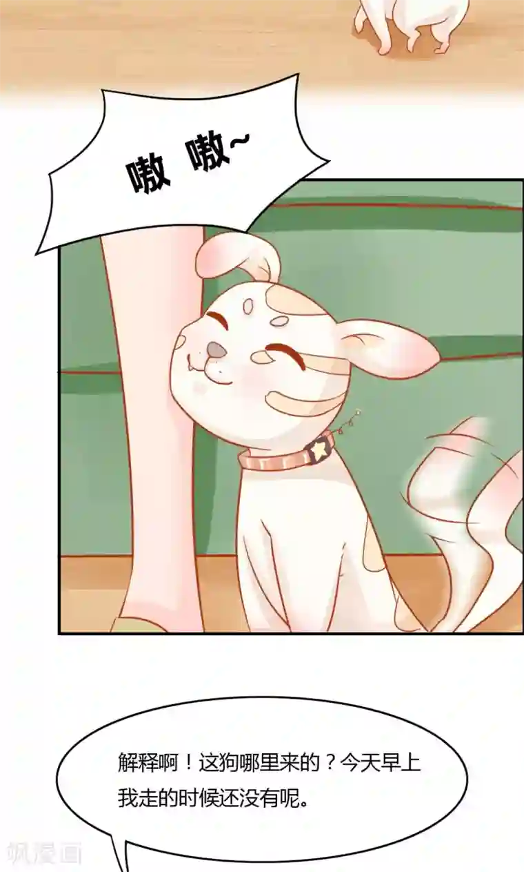 狗粮好吃第7话