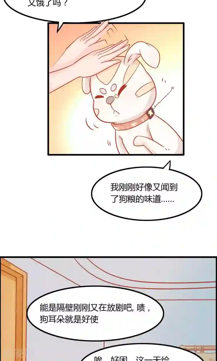 狗粮好吃第8话