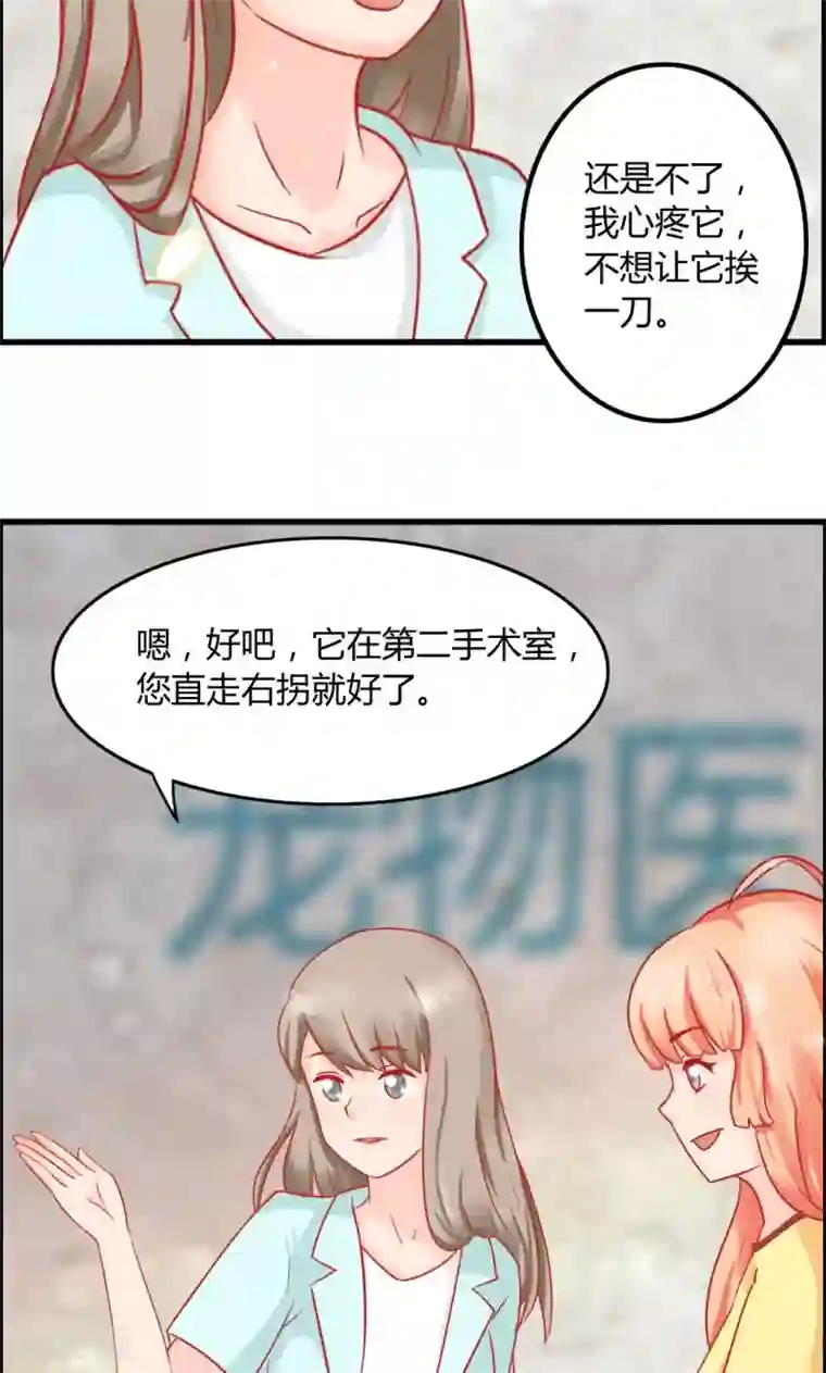 狗粮好吃第9话