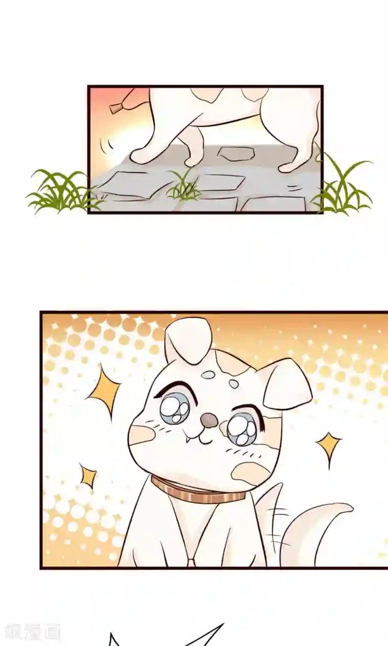 狗粮好吃第13话