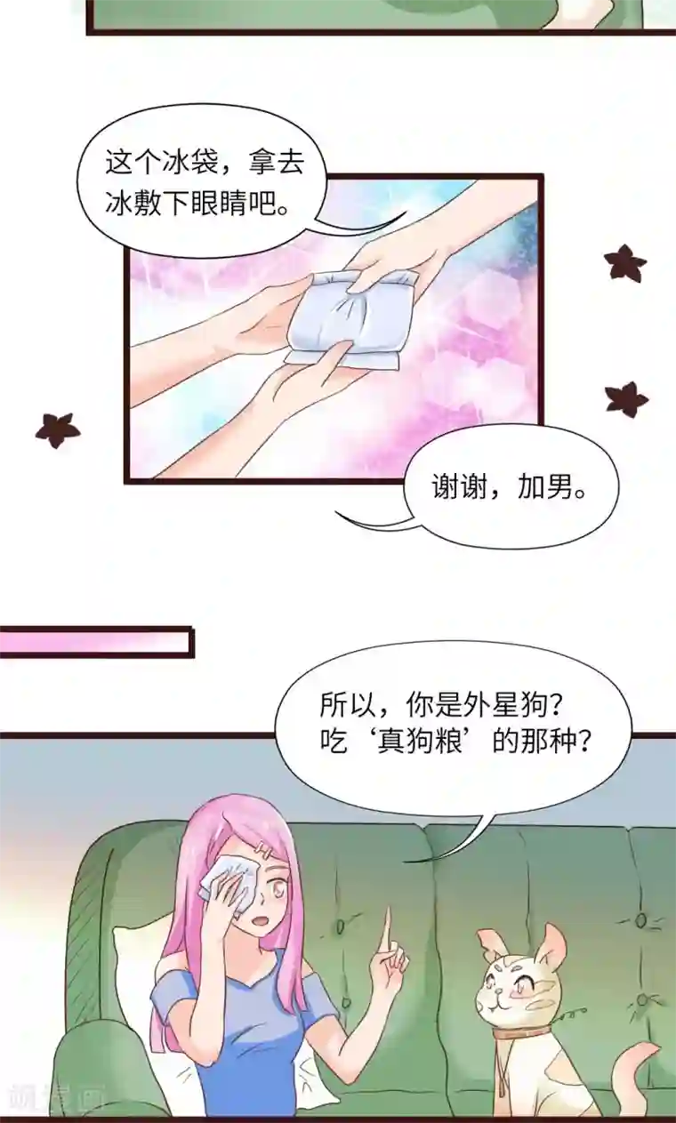 狗粮好吃第14话