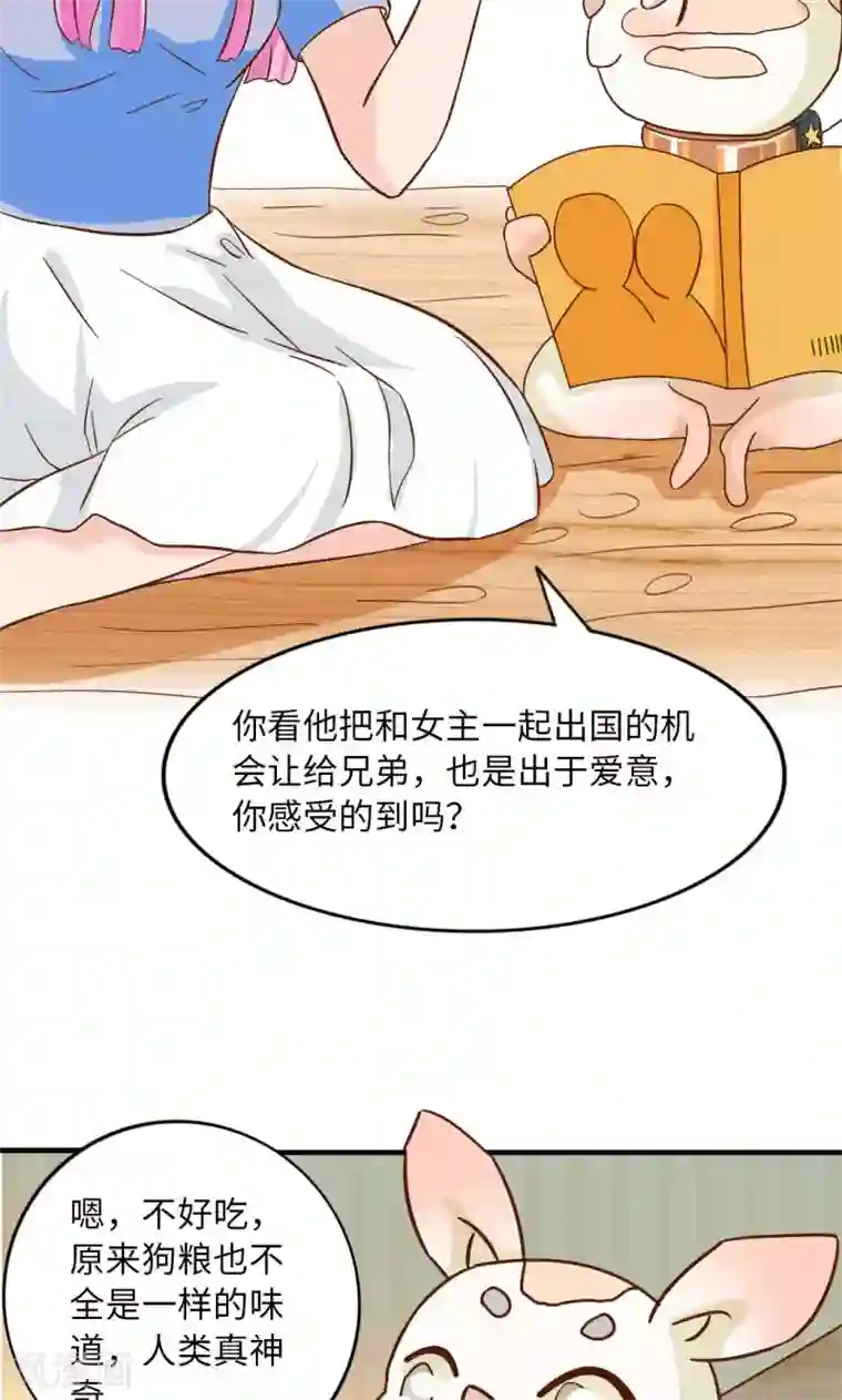 狗粮好吃第15话