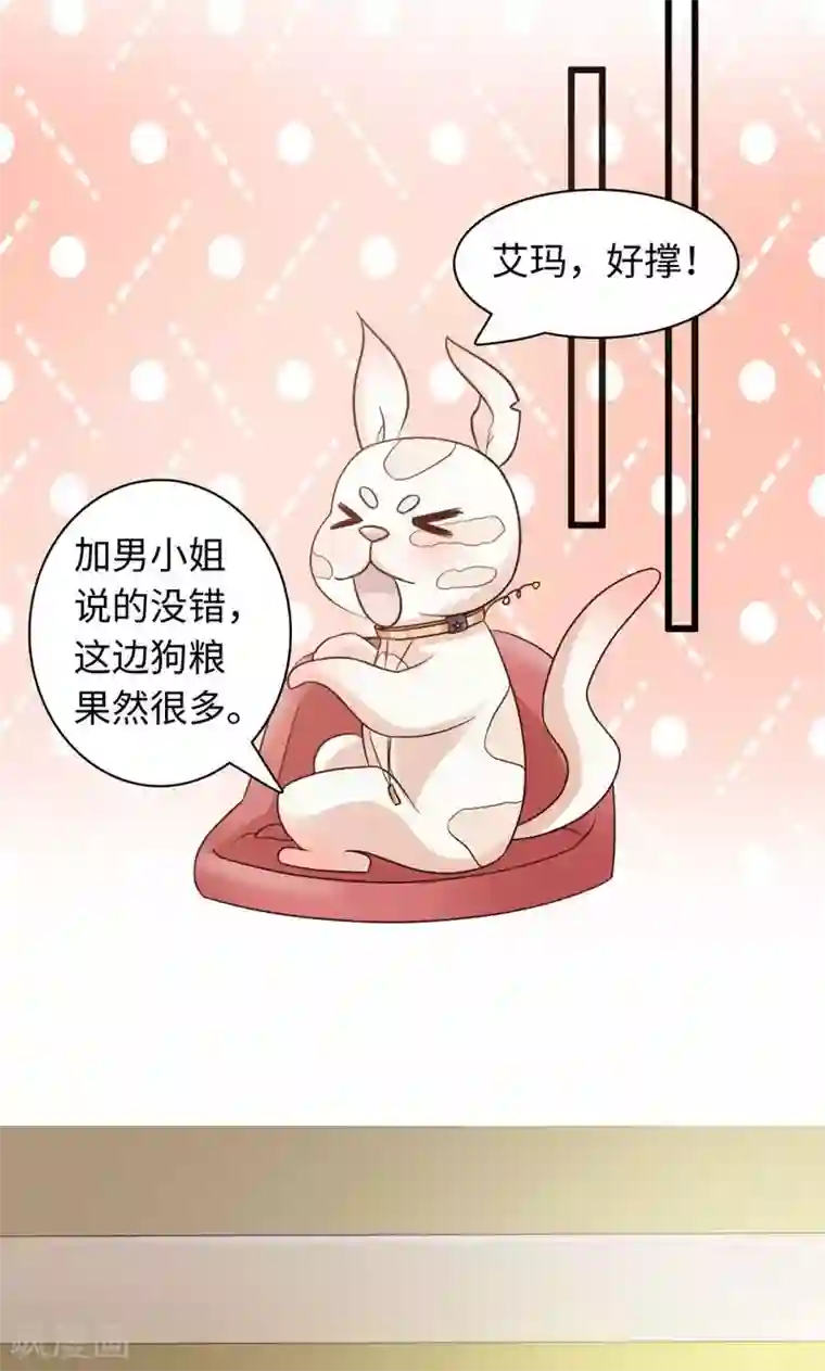 狗粮好吃第20话