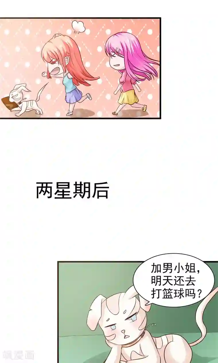 狗粮好吃第22话