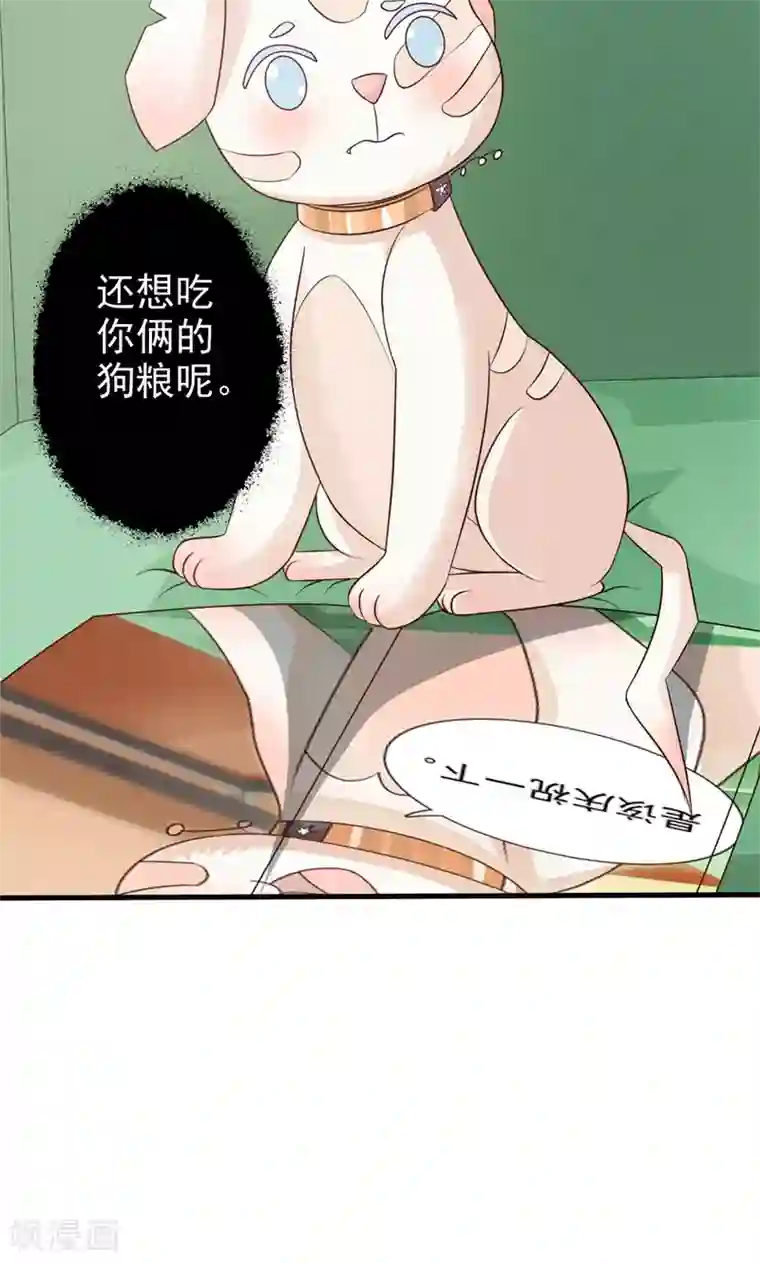 狗粮好吃第22话