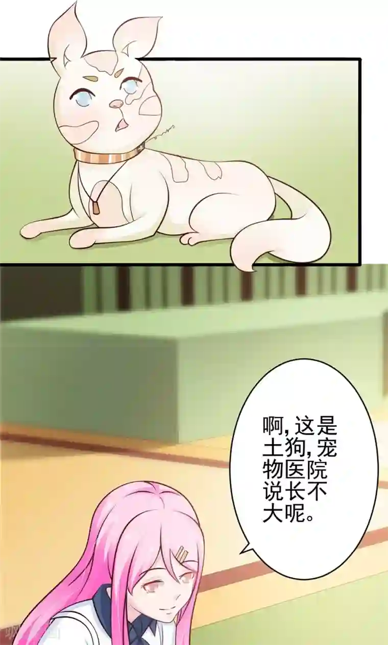 狗粮好吃第23话