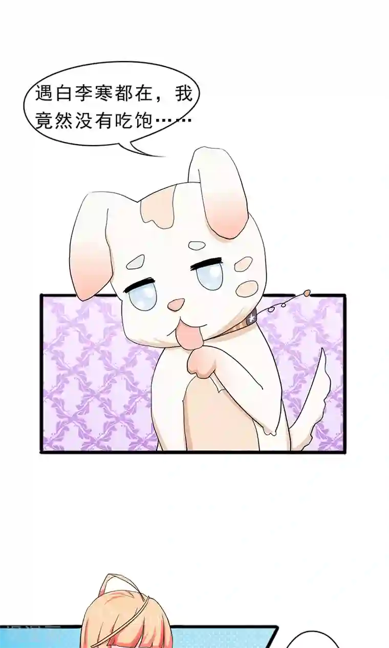 狗粮好吃第24话