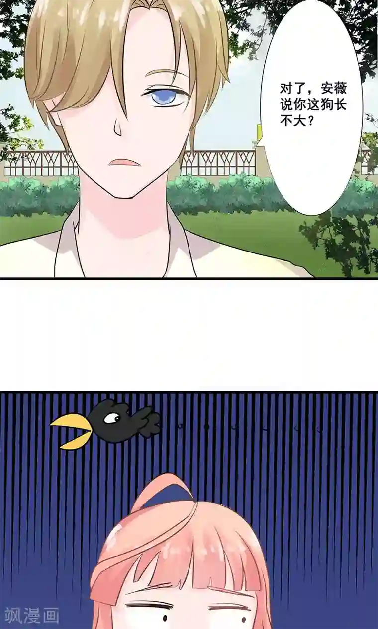 狗粮好吃第24话