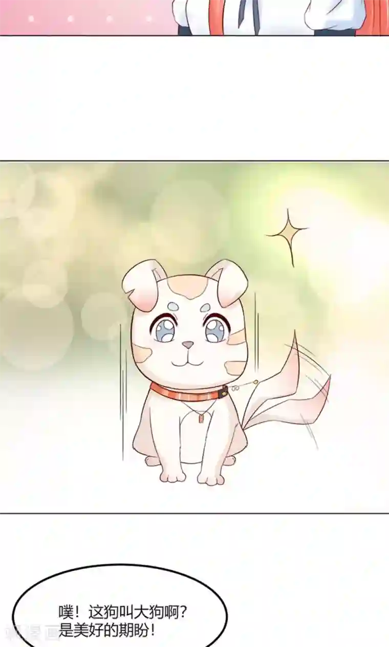 狗粮好吃第28话