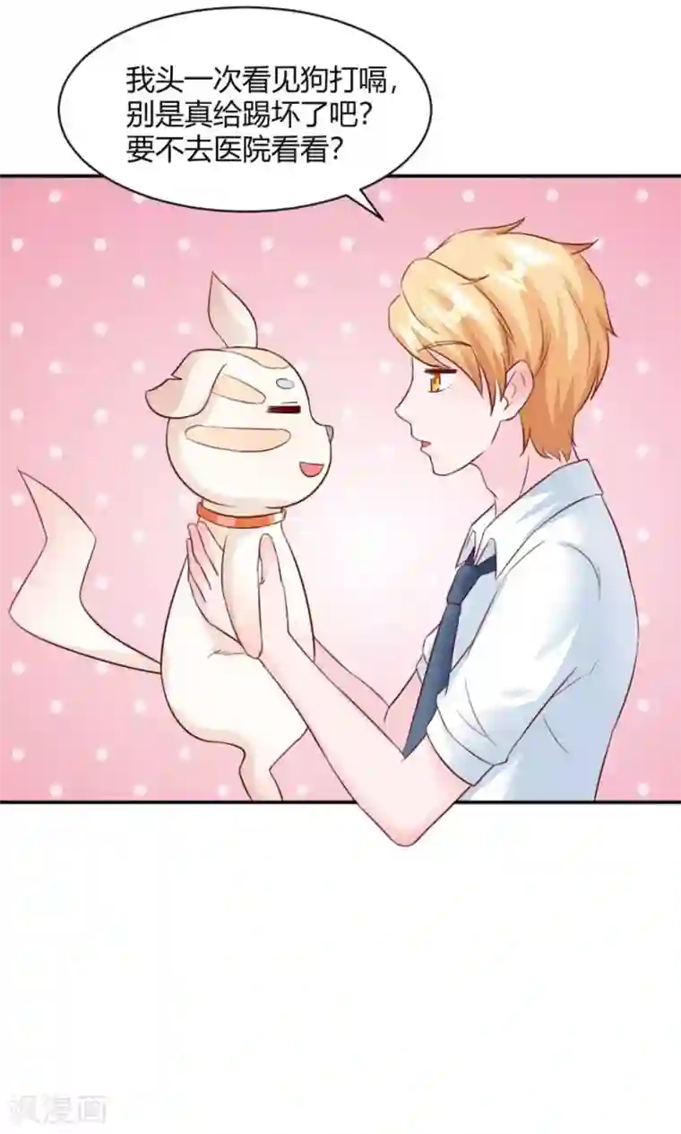 狗粮好吃第28话