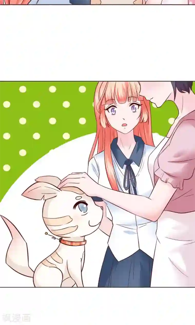 狗粮好吃第28话