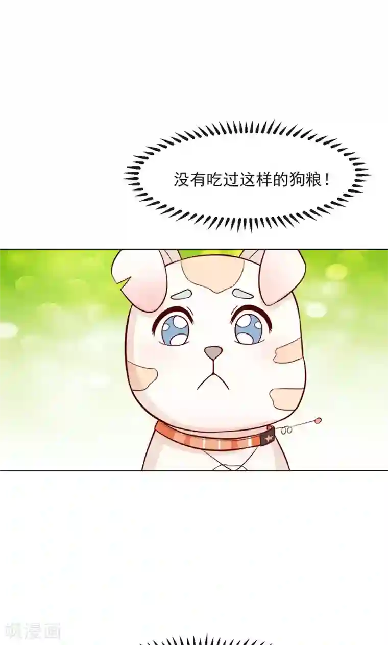 狗粮好吃第30话