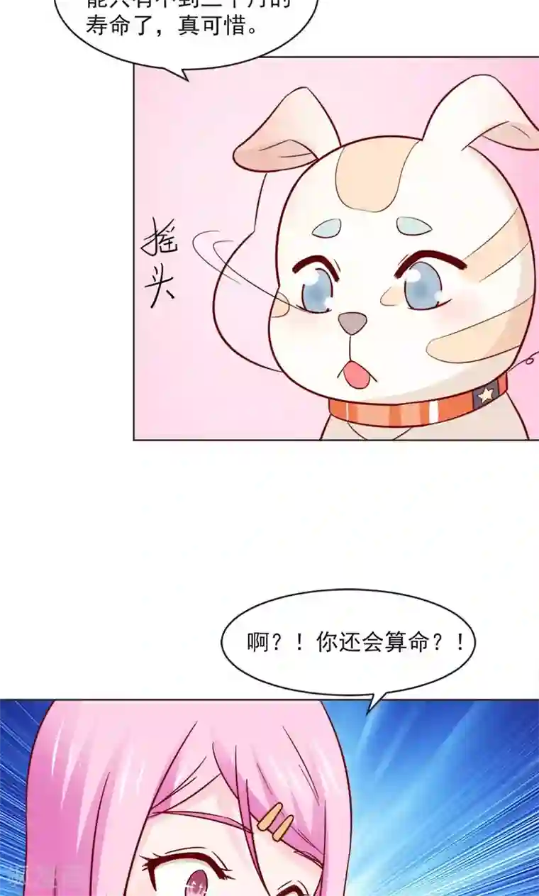 狗粮好吃第30话