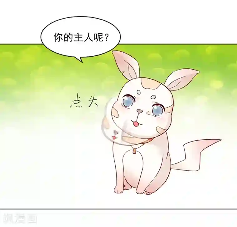 狗粮好吃第31话
