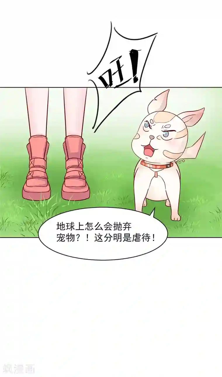 狗粮好吃第31话