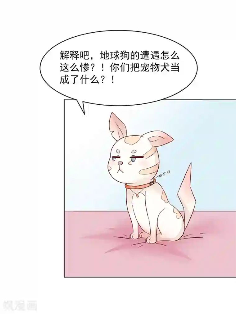 狗粮好吃第31话