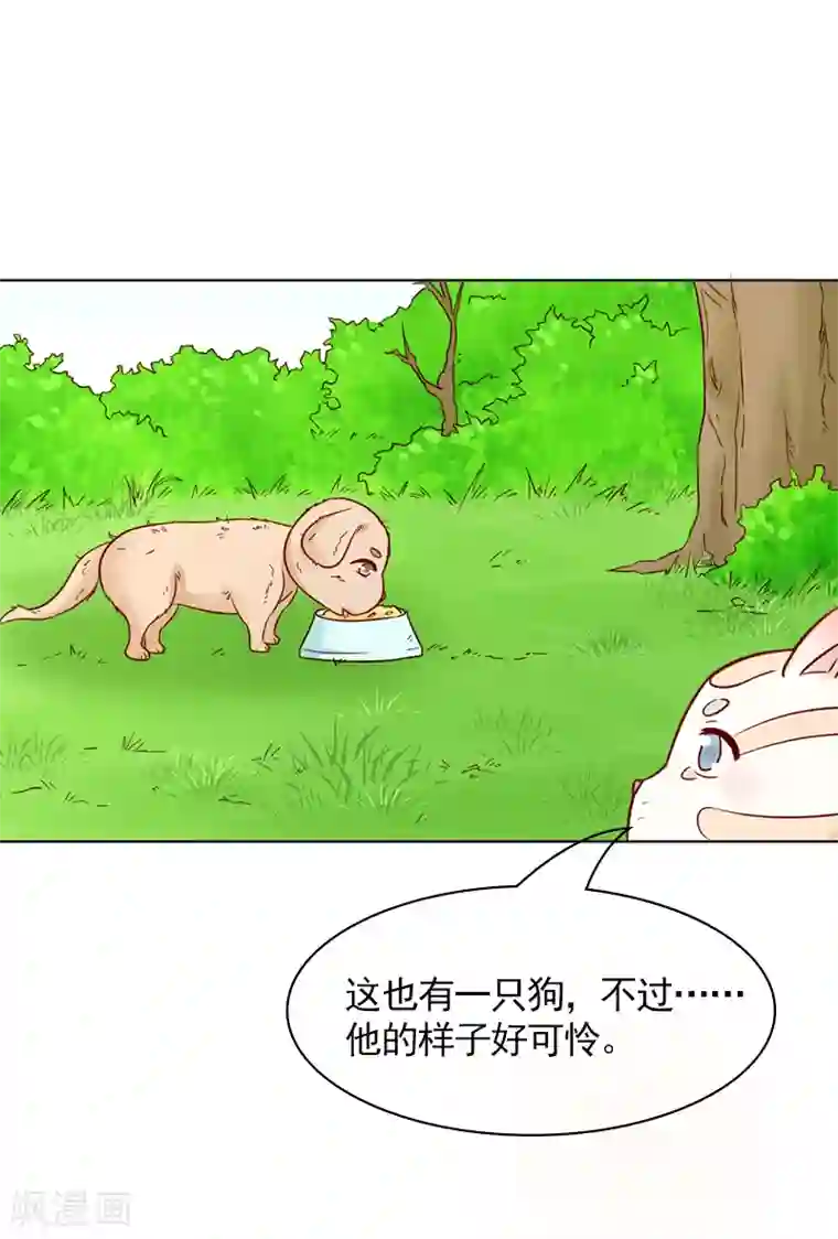 狗粮好吃第31话